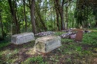 Odnowiony cmentarz mennonicki w Przechówku