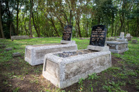 Odnowiony cmentarz mennonicki w Przechówku