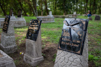 Odnowiony cmentarz mennonicki w Przechówku